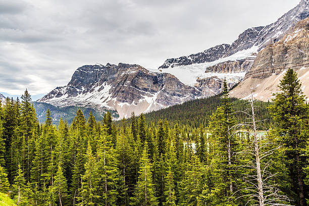istock Snow over the Rocky Mountains 485715544