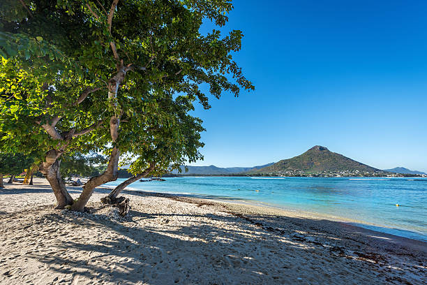 Beautiful beach in Wolmar, Flic en Flac, Mauritius Island, India stock photo
