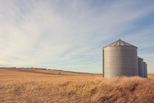 Autumn landscape of grain silos in a farmer's field.