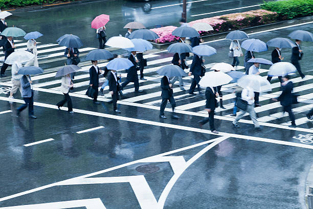 trabalhadores da cidade na faixa para pedestres no dia chuvoso - umbrella parasol rain rush hour imagens e fotografias de stock