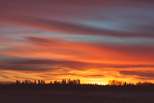 Landscape of a fiery tree line sunset.