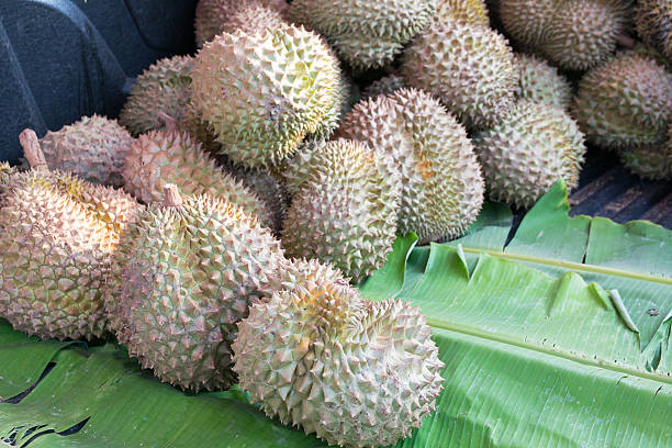 istock Group of durian in the market 485722232