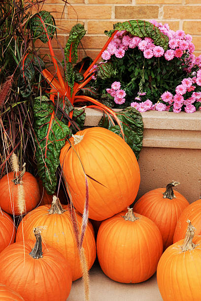 istock Pumpkins and flowers for sale 485725578