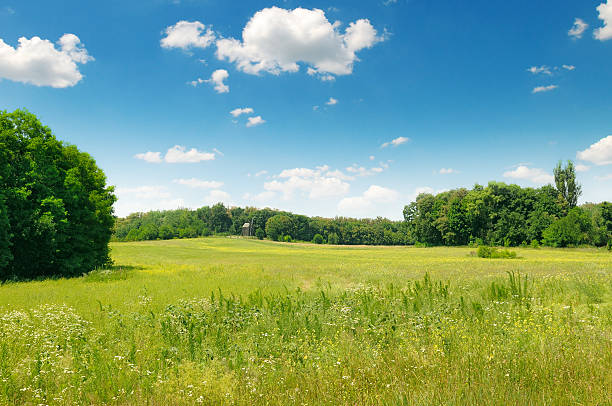 green field and blue sky picturesque green field and blue sky leath stock pictures, royalty-free photos & images