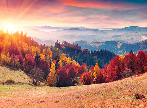 istock Colorful autumn sunrise in the Carpathian mountains. 485725778