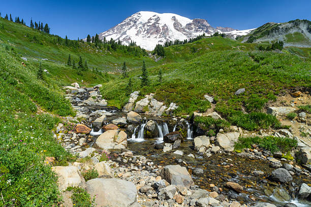 istock Mount Rainier with a glacier stream and wildflowers 485726938