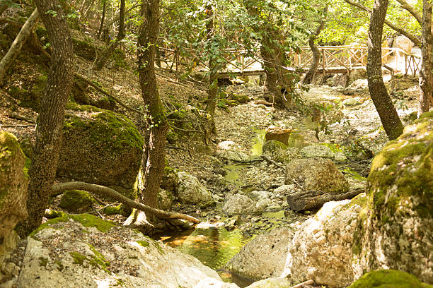 istock Petaloudes,Butterfly Valley,Rhodes 485727984