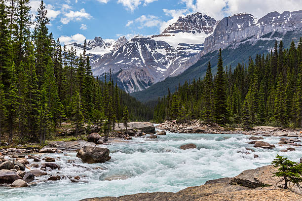 istock Mistaya River and a Peak in the background 485729040