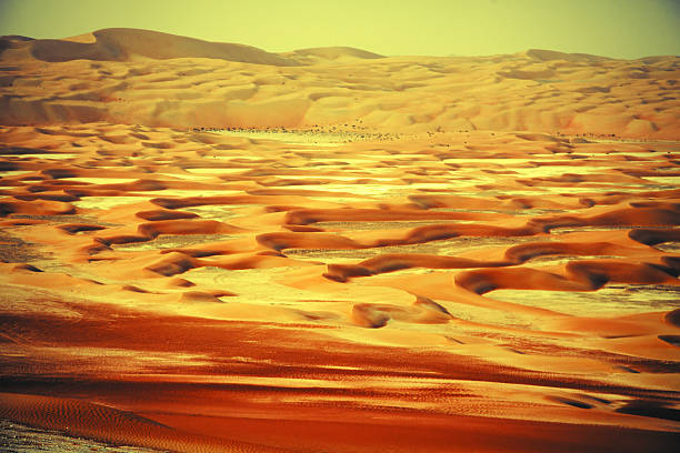 herrlichen sanddünen in oase liwa, vereinigte arabische emirate - liwa desert stock-fotos und bilder