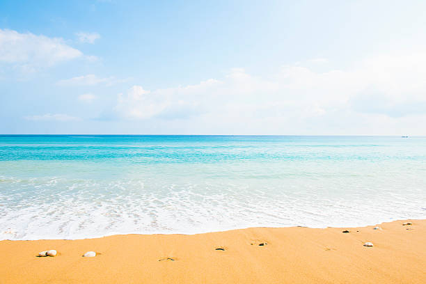 istock Soft wave of the sea on the sandy beach 485732188