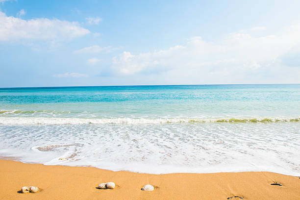 istock Soft wave of the sea on the sandy beach 485732190