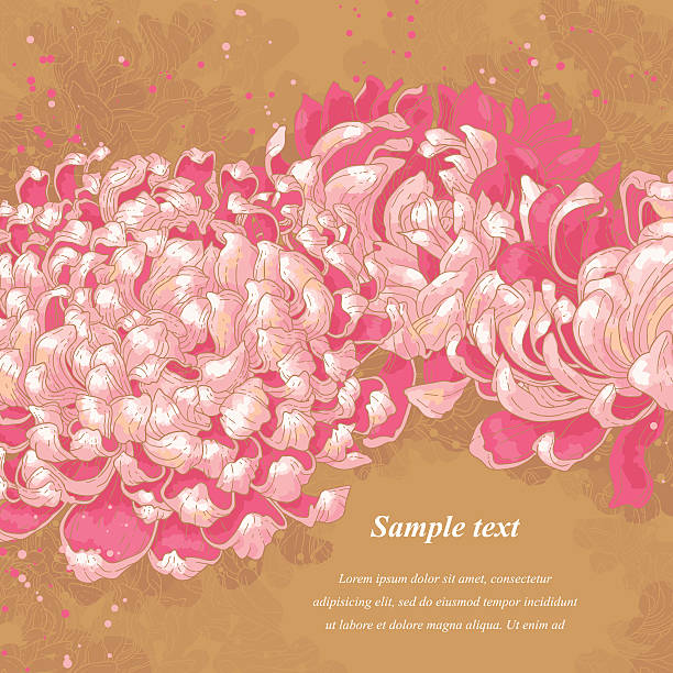 romantyczny tło z róż złocień na złotym tle - chrysanthemum single flower flower pattern stock illustrations