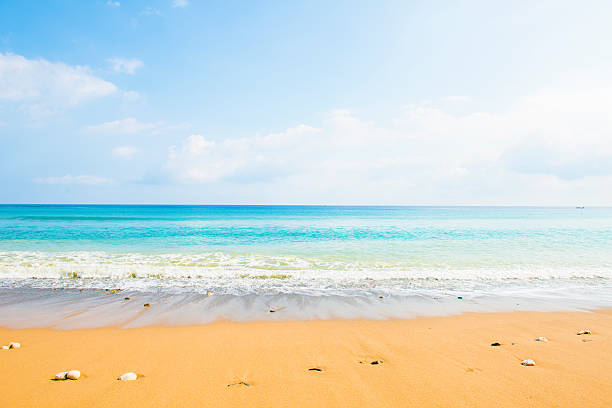 istock Soft wave of the sea on the sandy beach 485732776
