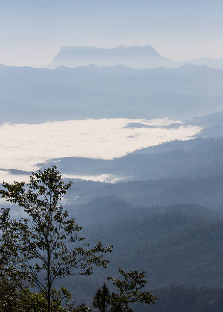 istock Sea Of Mist View Form Doi Dam 485732915