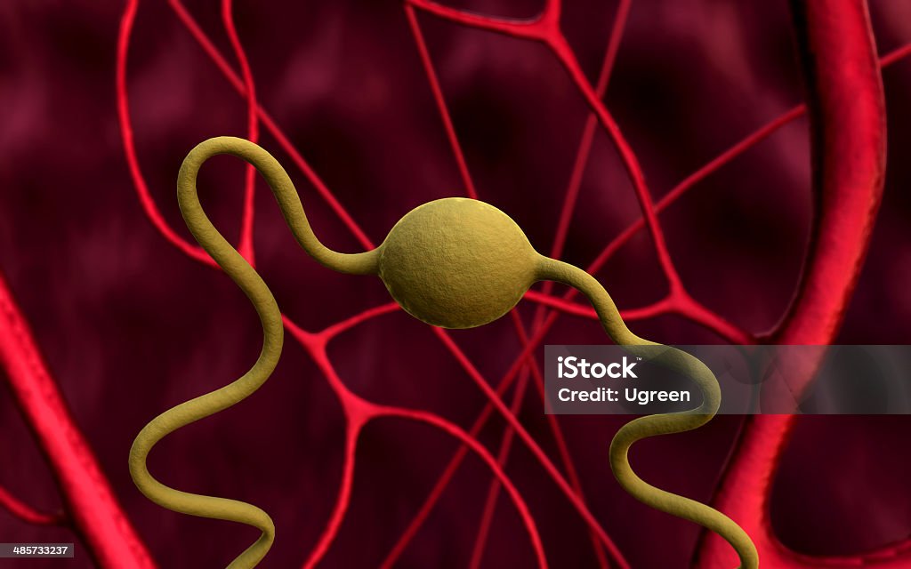 Нервную системы - Стоковые фото Анатомия роялти-фри
