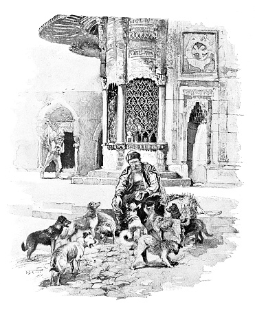 Man Feeding The Street Dogs