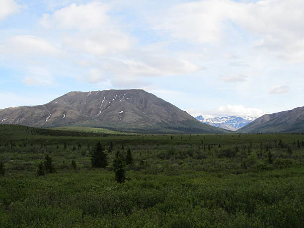 istock Mount McKinley in Denali National park,Alaska 485734331