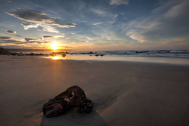 istock Sunrise at Jayanti Beach in South of West Java Indonesia 485735469