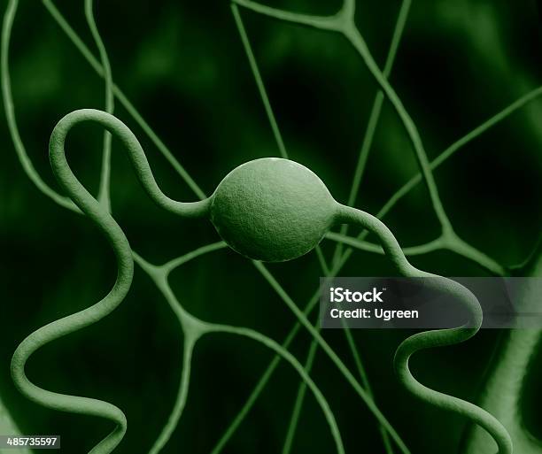 Neuron 신경 세포 나선구조에 대한 스톡 사진 및 기타 이미지 - 나선구조, 녹색, 3차원 형태