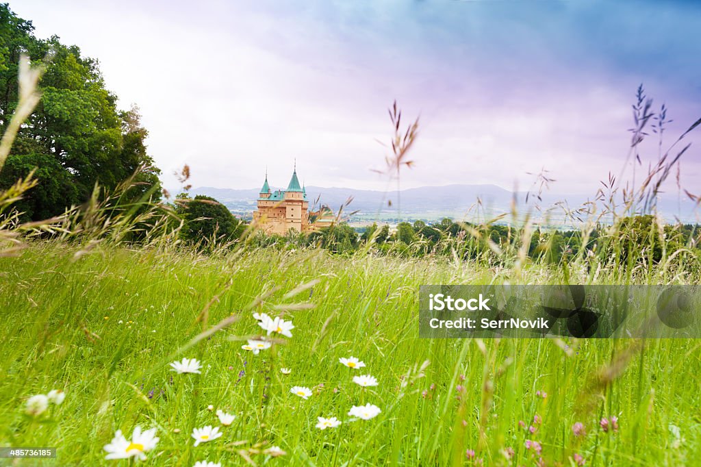 Field and castle Field with wild chamomile flowers and Bojnice castle in Slovakia Springtime Stock Photo