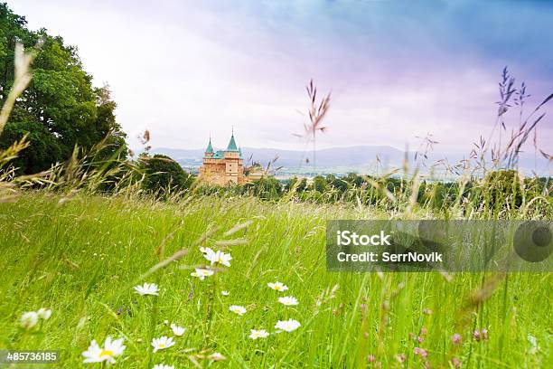 Field And Castle Stock Photo - Download Image Now - Springtime, Agricultural Field, Ancient