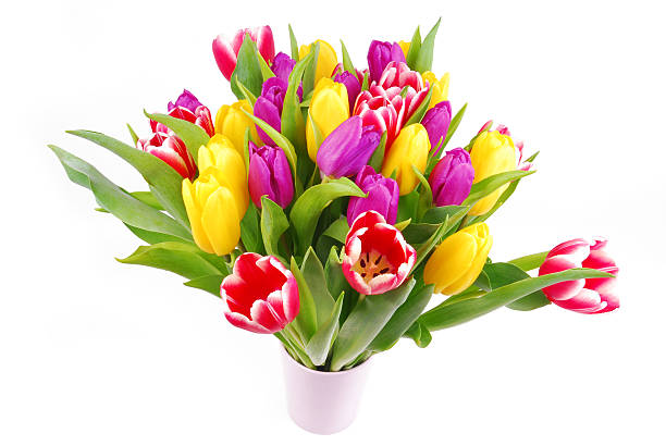 istock bouquet of tulip flowers 485736377
