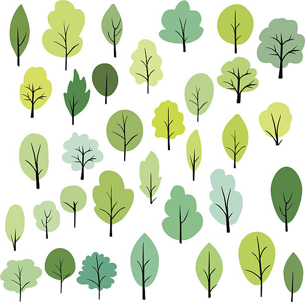 reihe von verschiedenen bäumen - tree abstract painted image vector stock-grafiken, -clipart, -cartoons und -symbole