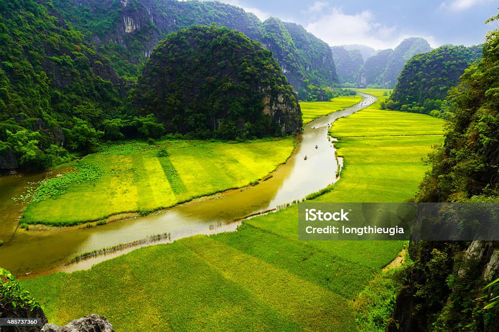 Rice field and river, NinhBinh, vietnam landscapes This is a tourist destination is very popular in ninhbinh, Vietnam. Tourists often go boating on rivers, rice fields and mountains shrouded around Tam Coc Caves Stock Photo