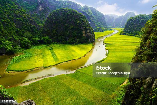 Rice Field And River Ninhbinh Vietnam Landscapes Stock Photo - Download Image Now - Tam Coc Caves, Ninh Binh, 2015