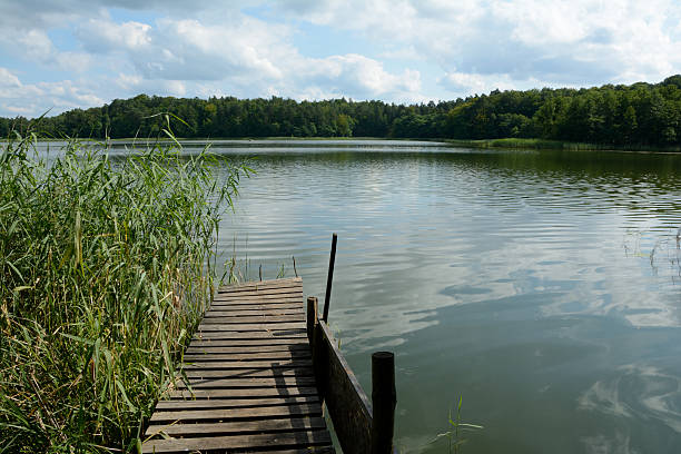 istock Old wooden pier and cane on lake. 485737536