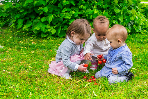Three cute girls playing with fruit in the garden