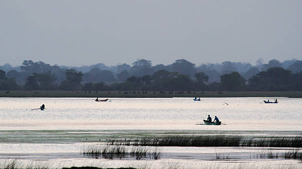 istock Fishermen in Arugam bay lagoon, Sri Lanka 485737848