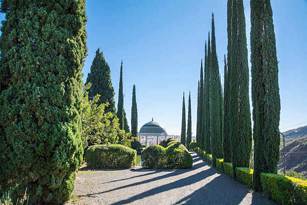 istock Winter in a park in Malaga, Spain 485745756