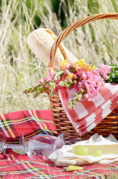 istock Wine cheese bread and fruits 485745928