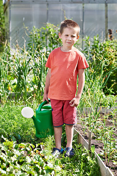 istock Little boy with watering can in vegetable garden 485746182
