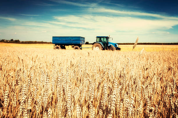 A tractor with a wagon attached in a stubble field.