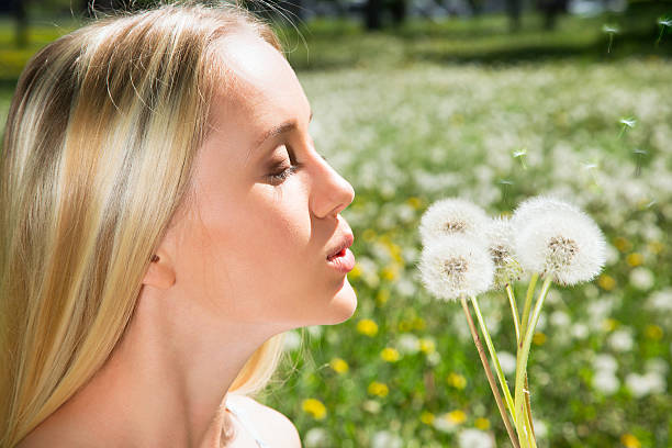 istock Girl blowing on white dandelion 485746358