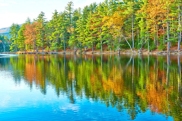 istock Pond in White Mountain National Forest, New Hampshire 485747402