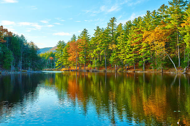 istock Pond in White Mountain National Forest, New Hampshire 485747410