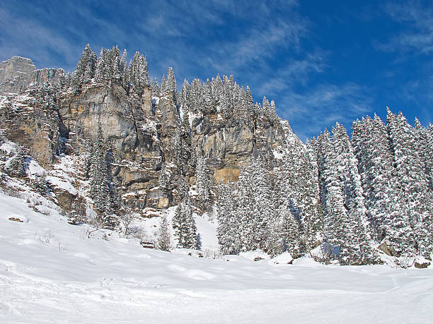 istock Winter in the alps 485751556