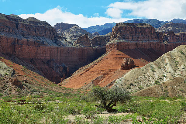 istock Colorful mountains of Quebrada de las Conchas, Argentina 485756054