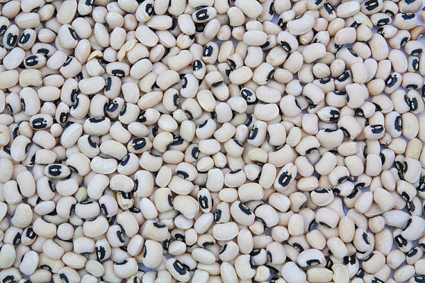 istock black eyed peas beans texture background 485756424