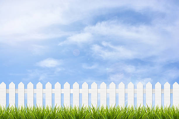 istock grass and fence under blue sky and clouds 485757704