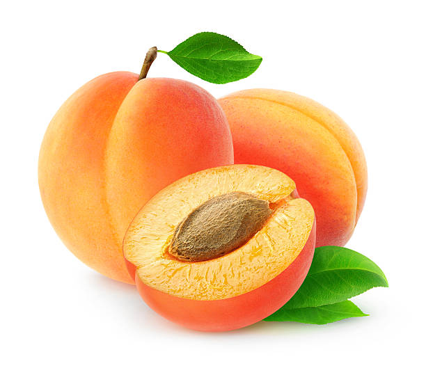 istock Fresh apricots isolated on white background, with clipping path 485758096