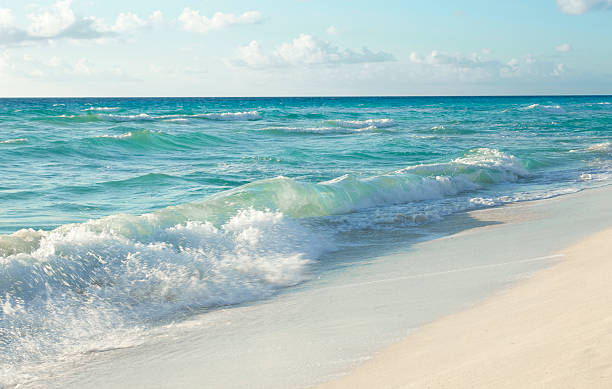 istock Ocean Beach in Cancun Mexico 485760216