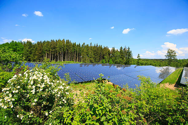 istock solar energy: photovoltaic panels 485760962