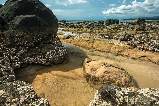 istock Stone on Sea Khao Lak, Thailand 485761568