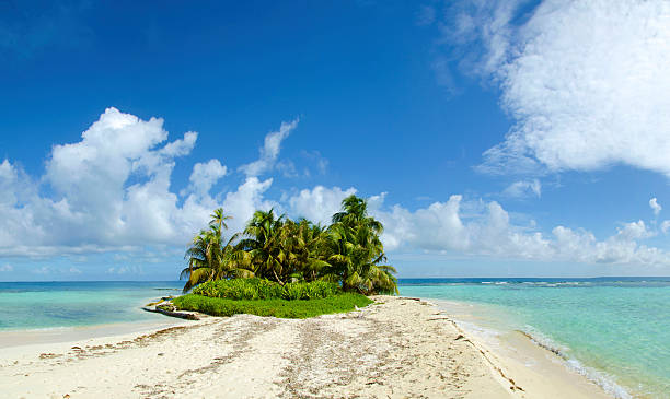 istock Beauty in the tropics 485765504