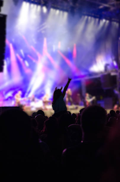 istock Rear view of crowd at music concert 485765762