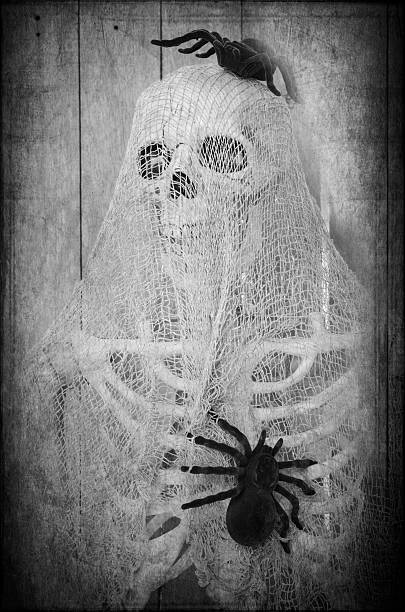 escalofriante halloween esqueleto - human bone textured textured effect animal bone fotografías e imágenes de stock